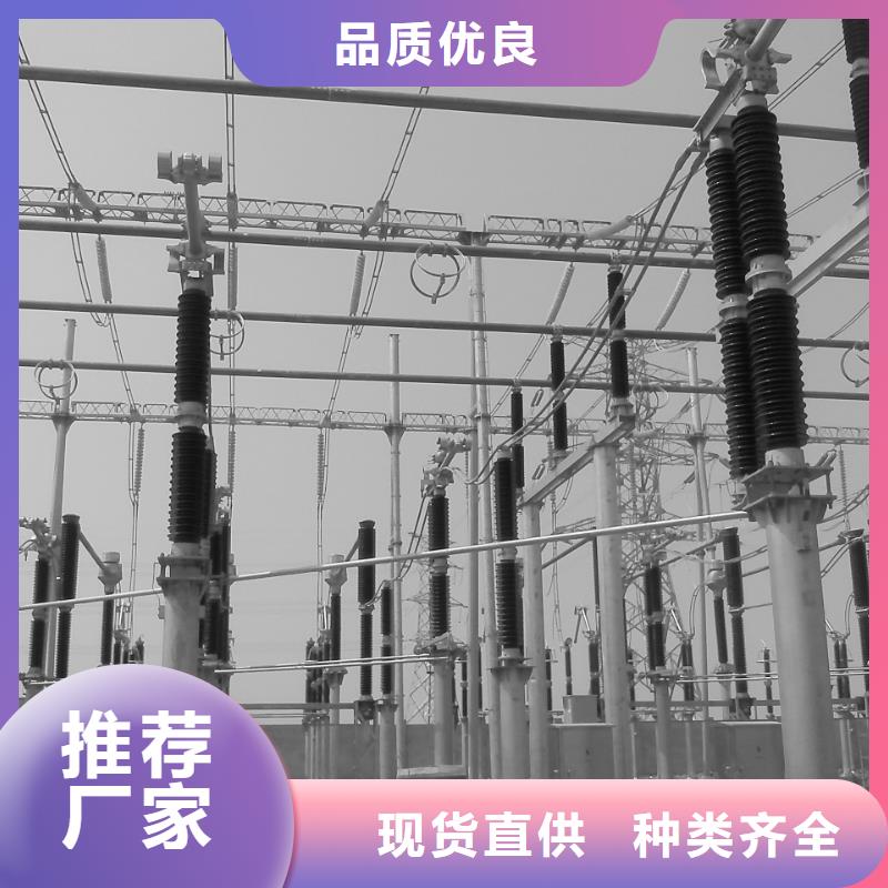 【管母线】镀锡铜绞线丰富的行业经验售后无忧